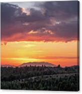 Colorful Sunset Over A Pine Tree Forest Canvas Print
