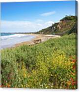 Colorful Wildflower Cove By Mike-hope Canvas Print