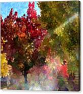 Colors Of The Season Canvas Print