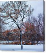 Colors Of Winter Canvas Print