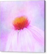 Coneflower Confection Canvas Print