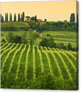 Conegliano Veneto - Collabrigo - The Prosecco Hills Canvas Print
