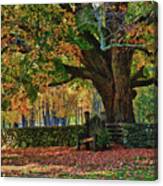 Connecticut Fall Colors Canvas Print