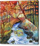 Copper Creek In The Fall Canvas Print
