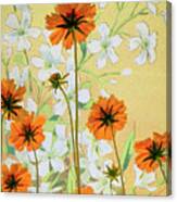 Coreopsis With French Gypsophile Blanc Canvas Print