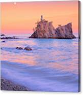 Cormorants Rock Canvas Print