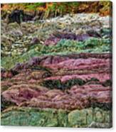 Cornish Rocks, Cornwall, England, Uk Canvas Print