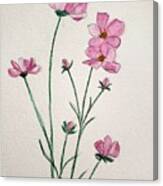 Cosmos In Deep.pink Canvas Print