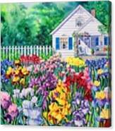 Cottage Irises Canvas Print