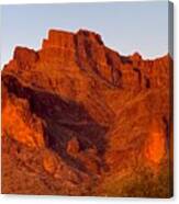 Cougar Shadow Catching Its Prey On The Superstition Mountains Canvas Print
