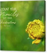 Count Your Miracles Canvas Print