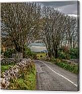 Country Highway Canvas Print