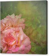 Country Roses Canvas Print