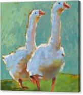 Couple Of Geese Canvas Print