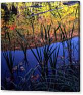 Crane Mt Reflections Canvas Print