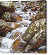 Creek Among Boulders Canvas Print