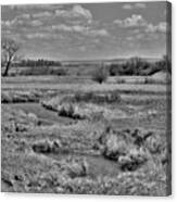 Creek And Flying Swallows In Black And White Canvas Print