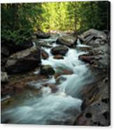 Creek In The Forest Canvas Print