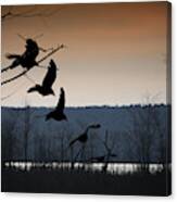 Crow Flight Canvas Print