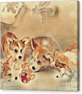 Curious Corgi Puppies Canvas Print