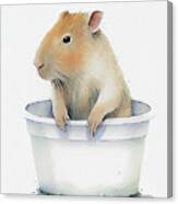 Cute Baby Capybara In Bathub Watercolor Minimalist Canvas Print