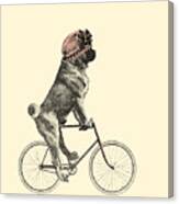 Cute Pug Dog Cyclist Canvas Print