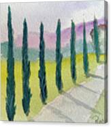 Cypress Trees Landscape Canvas Print