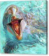 D Is For Dolphin Canvas Print