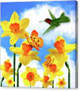 Daffodil Garden Hummingbird Canvas Print