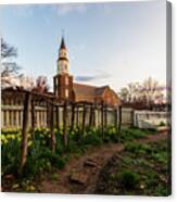 Daffodils In The Morning Canvas Print