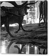 Dallas Monochrome And Texas Longhorn Cattle Drive Panorama Canvas Print