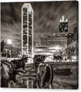 Dallas Texas Longhorns In Pioneer Plaza - Sepia Canvas Print