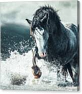 Dance In The Storm - Horse Art Canvas Print
