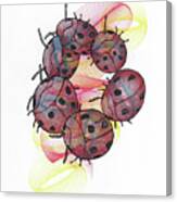 Dancing Lady Beetles Canvas Print