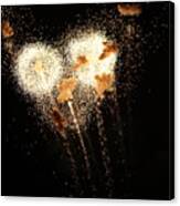 Dandelion Fireworks Canvas Print