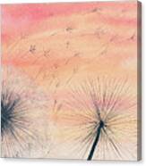 Dandelions At Sunset Canvas Print