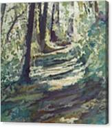 Dappled Spring Trail Canvas Print