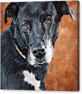 Darcy - Black Dog Canvas Print