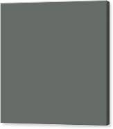 Dark Muted Green Grey Gray Solid Color Pairs Jolie Paint 2020 COTY Legacy  All One Shade Hue Colour Credenza by Simply_Solid_Colors_  Now_Over_4000_Essen