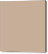 Dark Taupe - Tan - Beige - Light Brown Solid Color Inspired by Valspar Pale Powder 3001-8A Digital Art by PIPA Fine Art - Simply - Fine America
