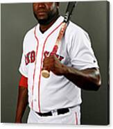 David Ortiz Canvas Print