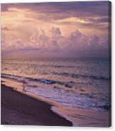 Dawn Canvas Print