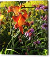 Daylilies And Cone Flowers Canvas Print