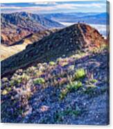 Death Valley At Spring Canvas Print