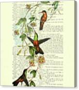 Decorative Fluttering Hummingbirds Art Canvas Print