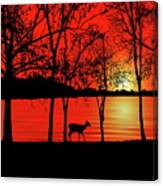 Deer At Sunset Canvas Print