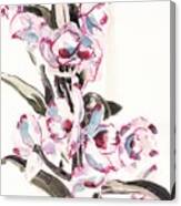 Dendrobium Nobile Canvas Print