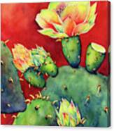 Desert Bloom Canvas Print
