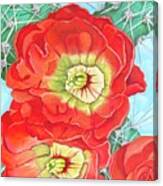 Desert Blooms-red Sunset Canvas Print