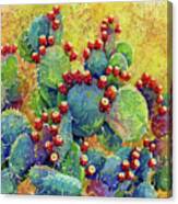 Desert Gems Canvas Print